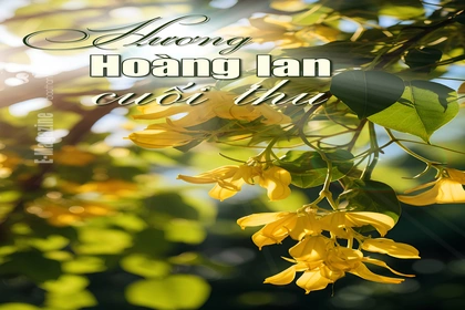 [E-Magazine]: Hương hoàng lan cuối thu